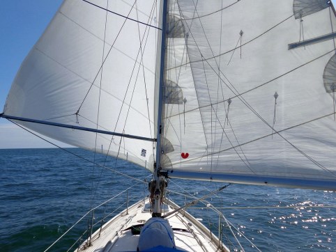 26958419017_d886ecbf31_b