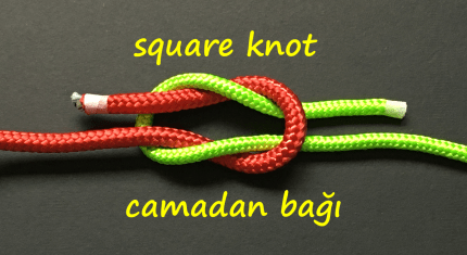 a33f4fe6ed7a66e58ec040085a125815