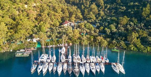 Bir marina, yeşil çam ağaçlarıyla çevrili ve çok sayıda yelkenli tekne suya bağlı.